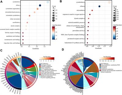 Subtyping children with asthma by clustering analysis of mRNA expression data